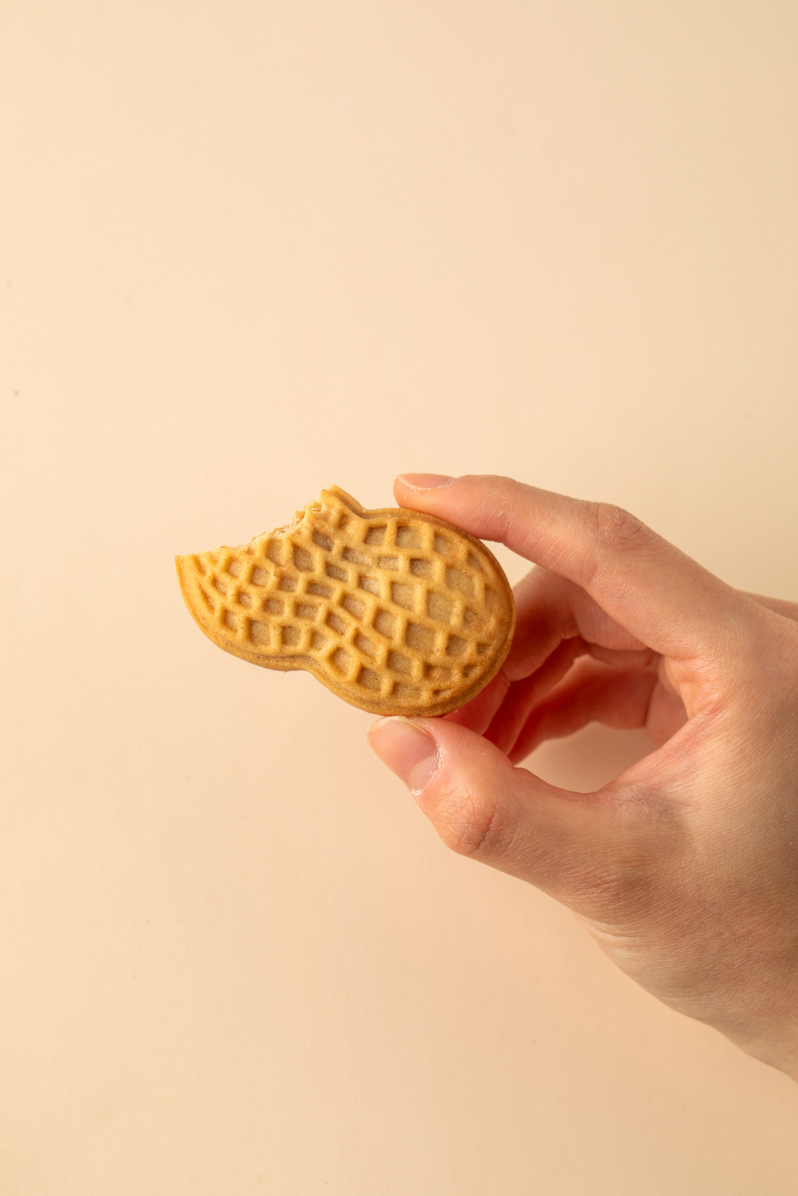 쿠키맛집 — 송파 잠실 고소리향과자점 진열대 위 사브레·땅콩쿠키·휘낭시에 시그니처 라인업 정물