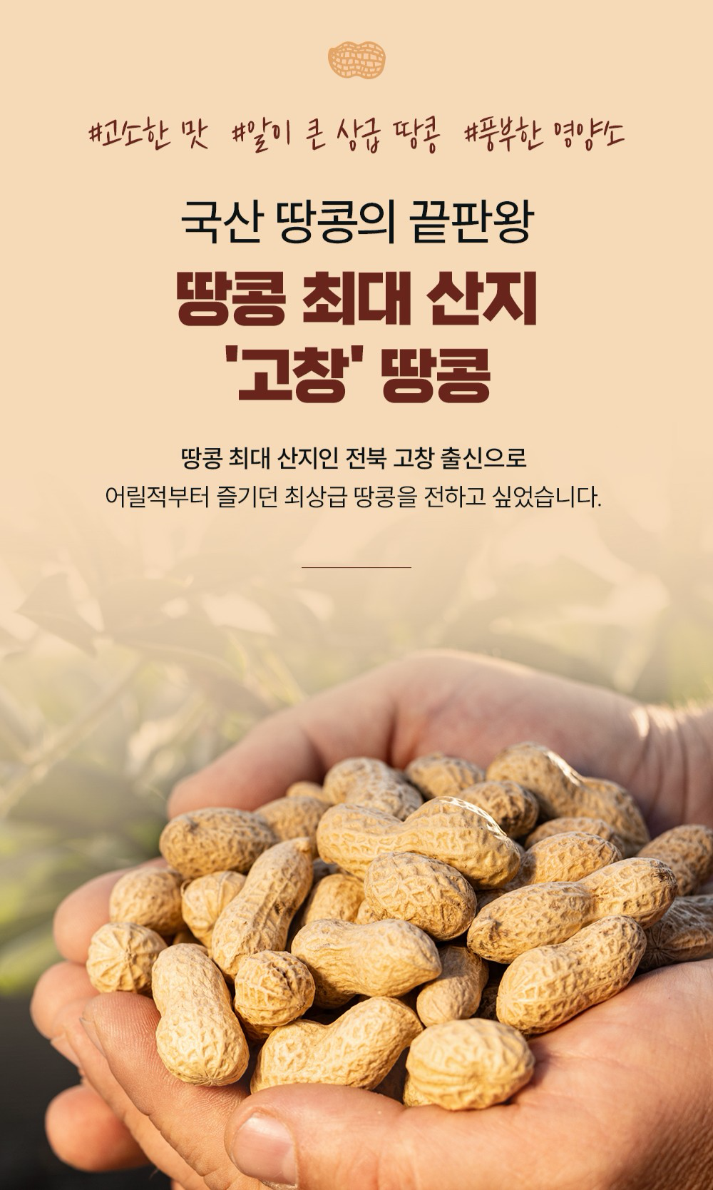 답례품 전문 베이커리 분위기 — 작업대 위에 답례 단위 박스가 가지런히 정렬되고 사브레·땅콩쿠키·휘낭시에 라인업이 함께 놓인 정물